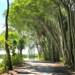 Walking Trails Port Charlotte FL